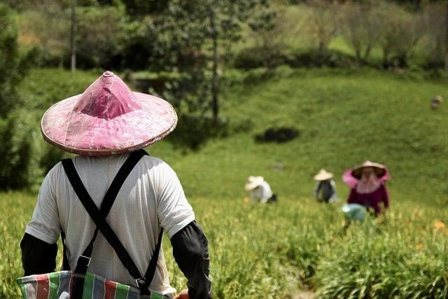 Fostering Economic Resilience: support​ for ⁣Local Farmers Through Federal ​Programs