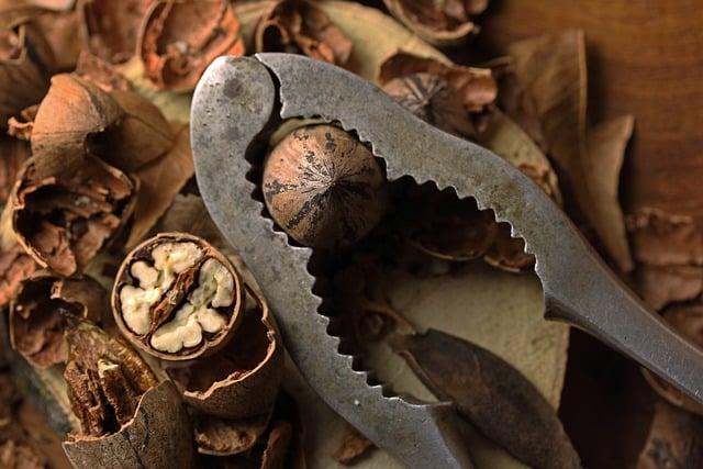 Health Benefits of Nuts and Dried Fruits Highlighted at the Event