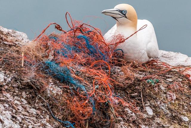 The⁣ Paradox of ⁢Plastic Waste Management in Indonesia