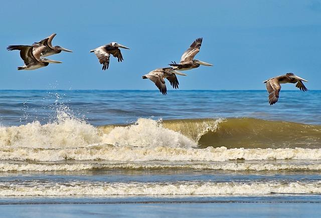 Unveiling the Unseen: What‍ Sets This Beach Apart from the Rest