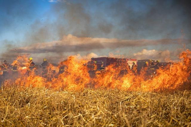 Assessing the Causes and Patterns of Recent Wildfires