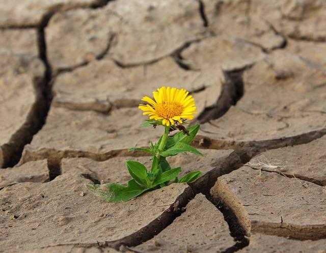 Community Resilience: How Residents Can Prepare for Future Threats