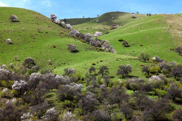 Opportunities for Dialogue and Peacebuilding⁣ in Kurdish Regions
