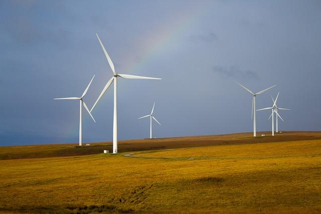 Recommendations for Moving Forward: Framework for Sustainable Partnerships