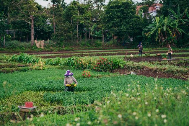 Challenges Faced by‍ Farmers⁣ in​ Adversity