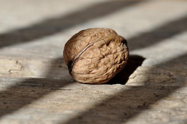 First Asian Nuts and Dried Fruits Exhibition opens at Souq Waqif - The Peninsula