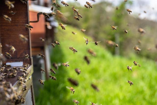 Consequences for Agriculture and Food Security