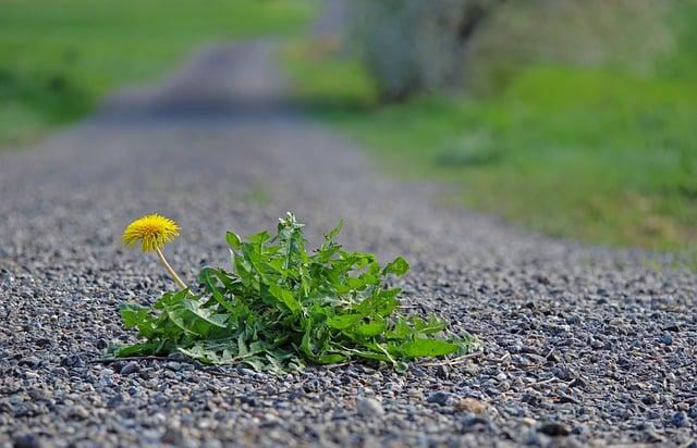 Insights from⁢ Survivors:⁣ Personal Accounts of Resilience and Bravery