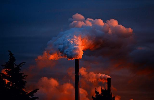 Responses from Industry Stakeholders on the Policy Shift and Its Benefits
