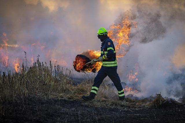 Long-term Solutions: Strategies for Wildfire Prevention and Management