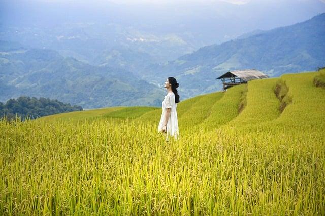 Understanding Women's Roles: Navigating Cultural Norms
