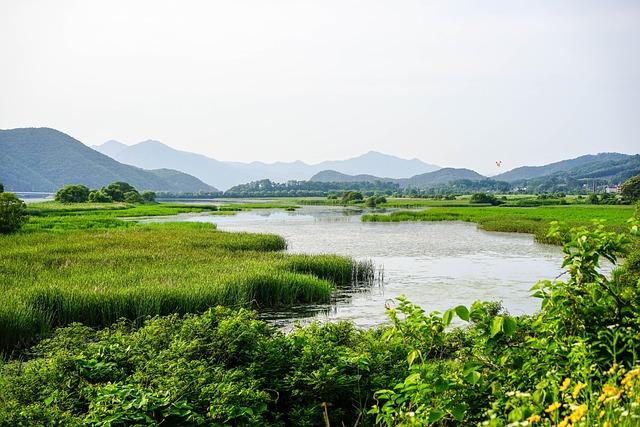 Ecological ‌Significance of Siphandone's Wetlands