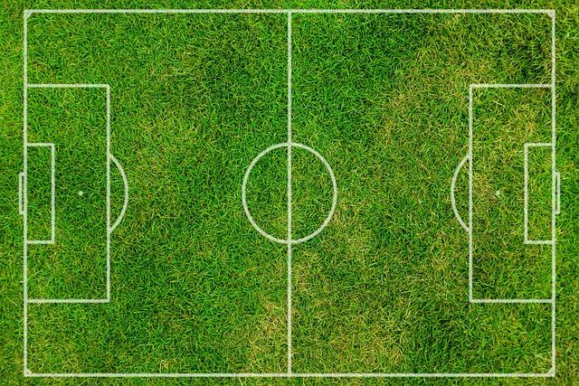 Pitch Conditions and Their‌ Impact on Gameplay