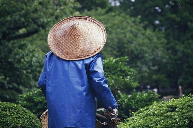 Sector Analysis: Key Industries Drawing Asian Investors