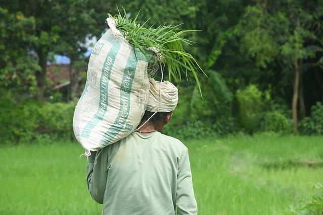 Background of the Incident: Understanding the Tensions Among Nepali Groups