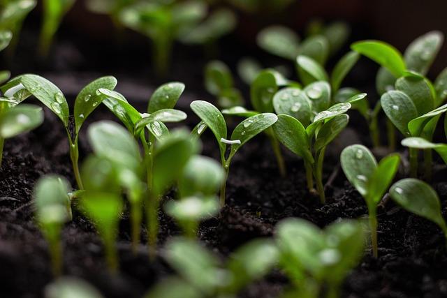 Building Sustainable ​partnerships with Local Institutions