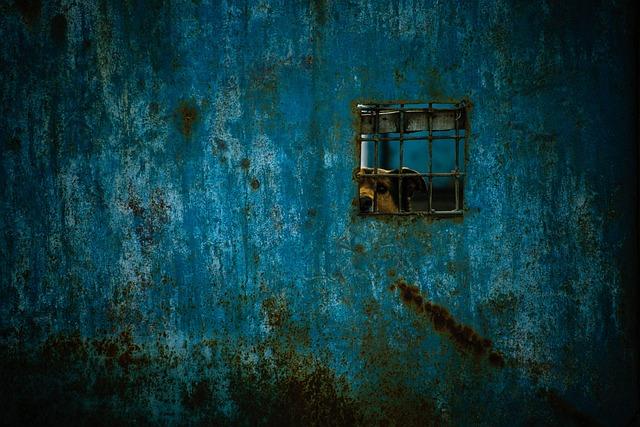 Analysis of Prisoner Exchange Talks and Their Impact on Bilateral Relations