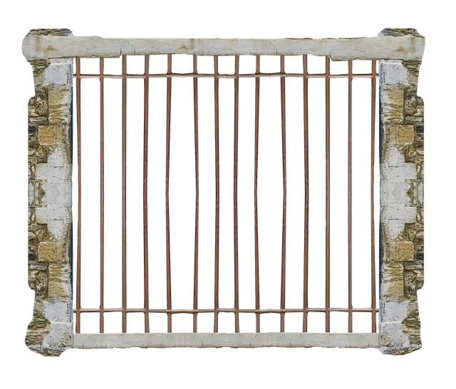 Rebuilding ⁢Collaborations: the Impact of Imprisonment on Academic Networks