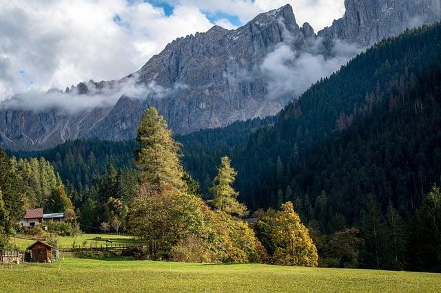 Wildlife Tourism in Nepal: Discovering the biodiversity of the Himalayas