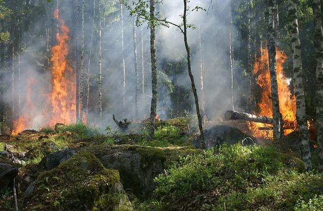 Fire breaks out in Quezon City, Philippines ‍- Xinhua