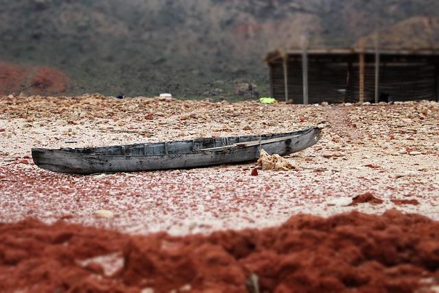 Insights into the Humanitarian Crisis in Yemen