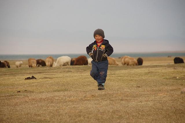 Recommendations for Strengthening Peaceful Coexistence ⁢in ‌Central Asia