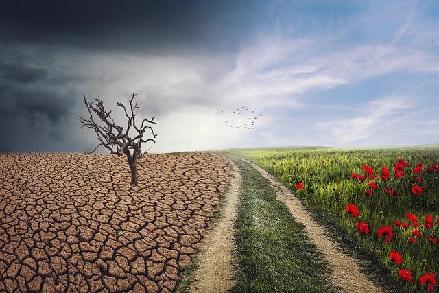 Climate ‍Change ‌and Its disproportionate Effects on Children