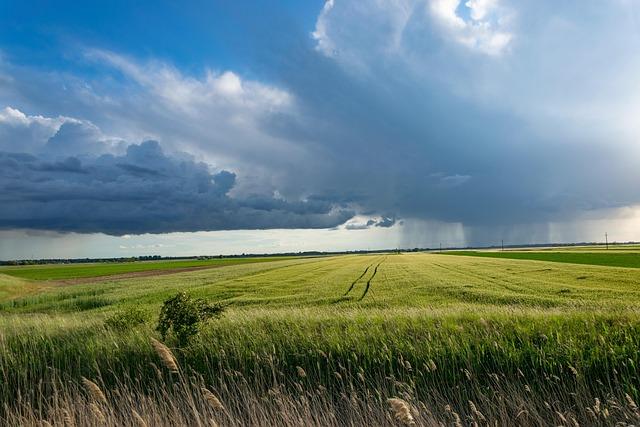 Collaboration in Agriculture Energy Infrastructure Development