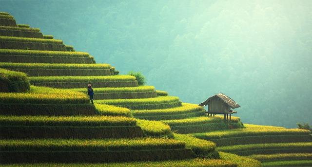 Conclusions ⁣and⁣ Next Steps in promoting Tourism and‌ Trade Through Improved Transport Systems