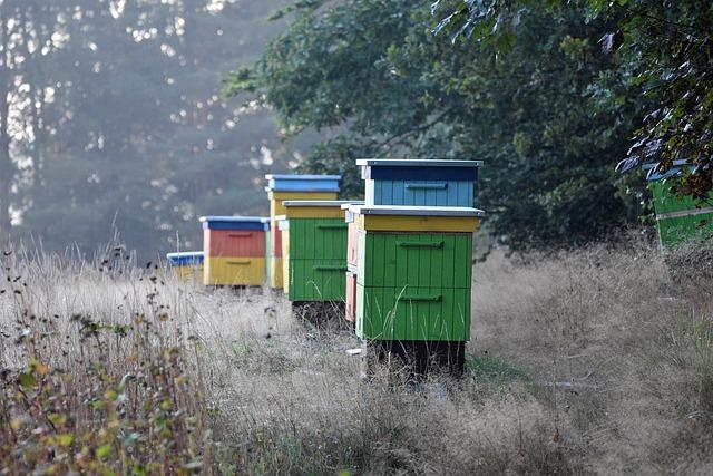 Policy Recommendations for Sustainable Beekeeping Practices