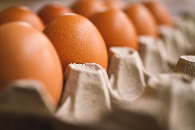 Future‌ Prospects:⁣ Sustainability and Growth for Asean in Global ⁢Egg Trade