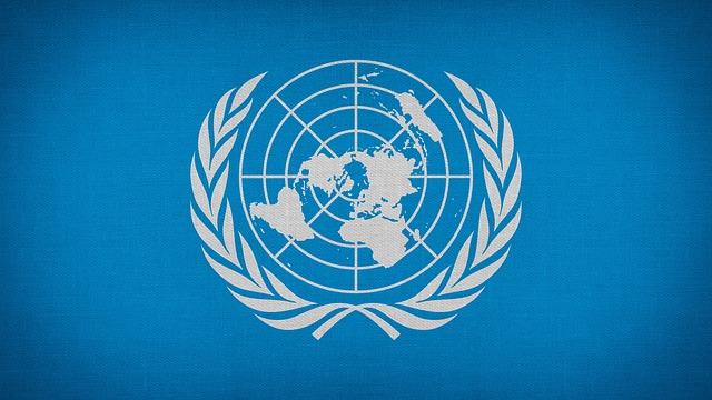 United Nations Response: A Call for Immediate Action