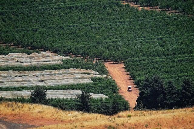 International Response to Escalating Tensions Along the Israel-lebanon Border