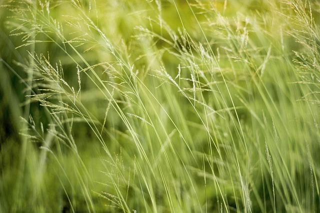 Understanding Environmental Challenges