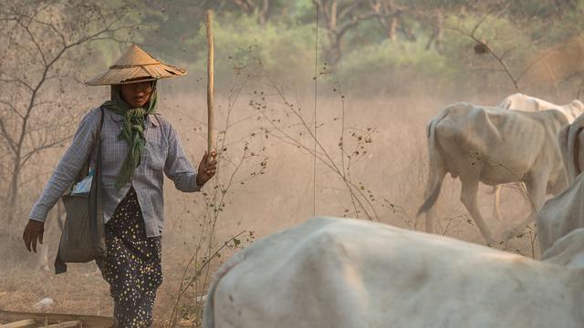 Myanmar's Election Promises Under scrutiny ​by Analysts