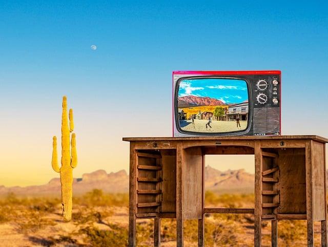  The Impact Of ALEC TV On Legislative Discourse 