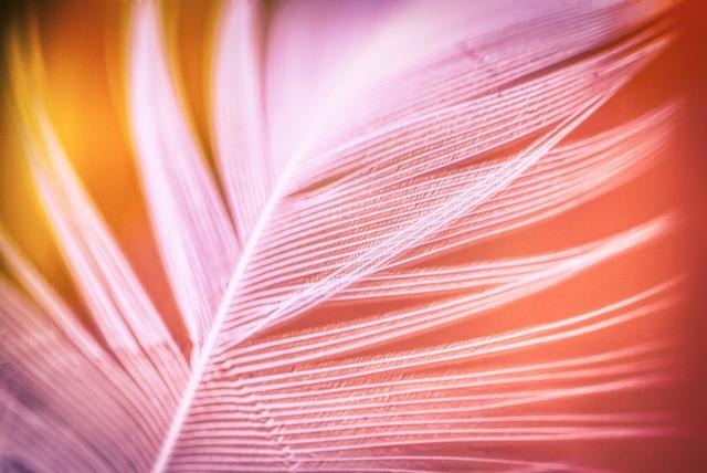 Recommendations for Manufacturers Considering Lightweight Material Adoption