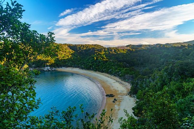 Analyzing How This Partnership Influences Trans-Tasman Travel