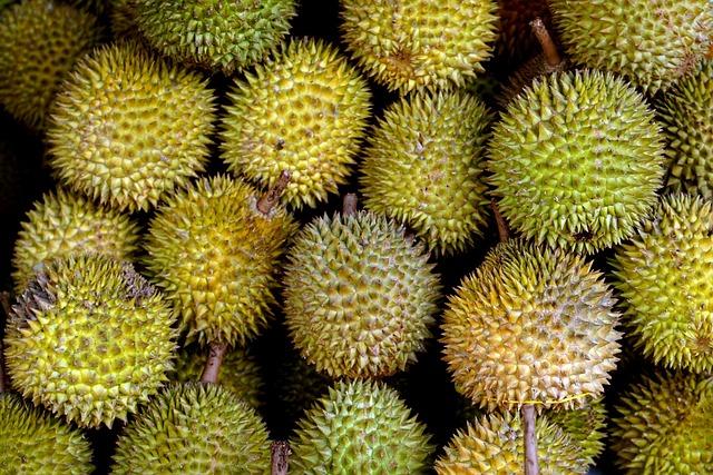 Indonesia prepares direct durian ⁣exports to China -⁢ FreshPlaza.com