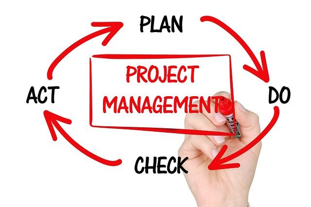 Identifying Key Priorities ​for Project Portfolio Management in 2025