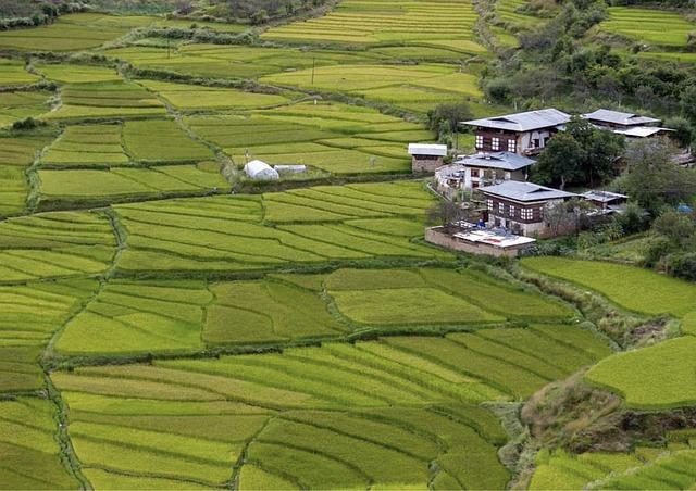 Bhutan's Unique terroir: Understanding the Conditions for Wine Production