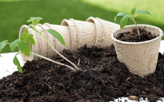 Recommendations for Sustainable Growth in Asia
