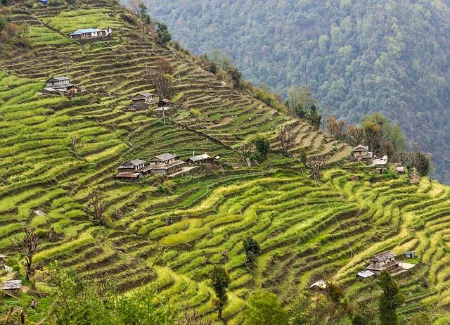 Recommendations for Nepal: Leveraging Thailand's Expertise in Development Sectors