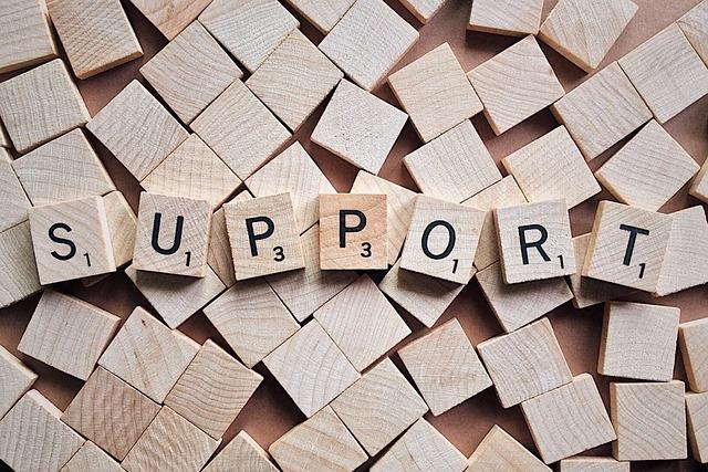 The Role of International⁤ Support‍ in Strengthening Democracy