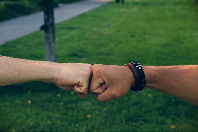 the ⁤Role ⁢of ​International Alliances in ‍Regional Stability