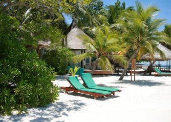 Exclusive: Maldives Community in Sri Lanka Plummets from 8000 to 1280 – Sri Lanka Guardian