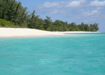 Timor-Leste hands most new mining licences to Australian groups – AFR
