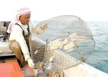 The Decline of Bahrain’s Fisheries Due to Desalination Expansion – Pulitzer Center