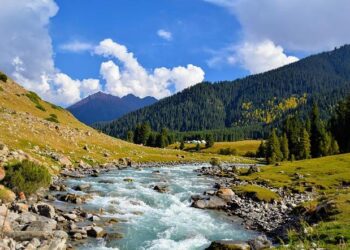 Inflation slows down in Kyrgyzstan with imported products making half of consumer basket – ADB – AKIpress News Agency