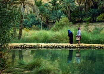 Oman – Dozens Rescued, 12 Dead After Heavy Rain Triggers Flash Floods – FloodList